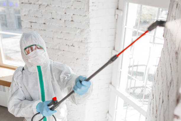 Mold Documentation for Insurance Claims in Bristol, CT