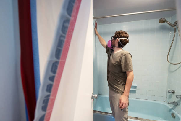 Best Attic Mold Removal  in Bristol, CT