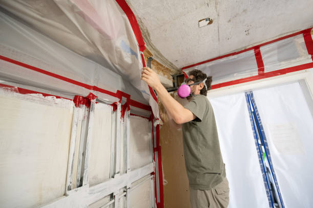 Best Post-Remediation Verification Testing  in Bristol, CT