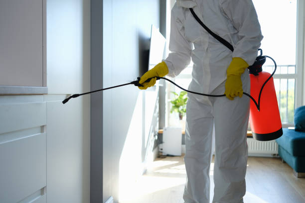 Mold Remediation for Vacation Homes in Bristol, CT