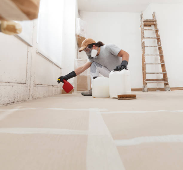 Best Mold Remediation for Healthcare Facilities  in Bristol, CT